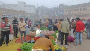 04_01_2024-vegetalbes_23620638